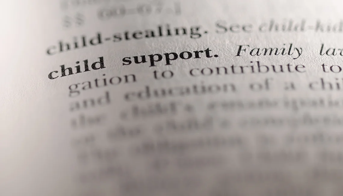 text with the words child support in focus